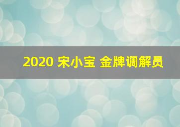 2020 宋小宝 金牌调解员